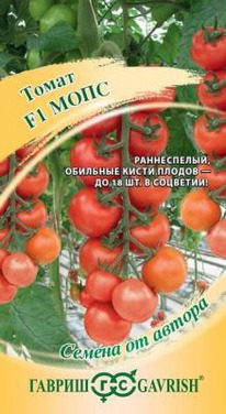 ���� F1 �����