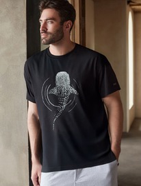 ��������� ��������  � ��������� �������