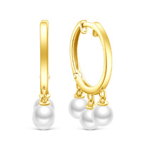 ������ �� ���������� ������� � ���������������� �������� 925 ����� �-5003���1005