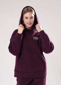 06.04  Clever ���� ������� CLE LH15-106 �.��������