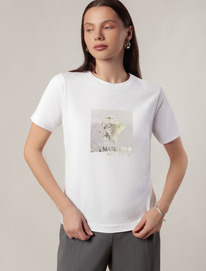 06.04  Vilatte �������� �� ������������ ������ � ��������� ������� D49.110 �����