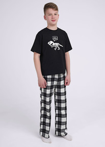 08.04 Clever �������� ���. CLE 909540��_� ������/��������