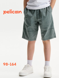 22.04 Pelican ����� ��� �������� BGH3394 �������