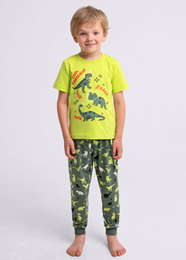 08.04 Clever �������� ���. CLE 909533��_� ������/��.������