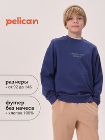 22.04 Pelican ��������� ��� ��������� BFN3371U �����-�����