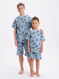 08.04 Pelican ������ ��� ��������� NFATH3371U �������