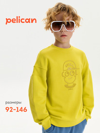 22.04 Pelican ��������� ��� ��������� BFN3387U ������