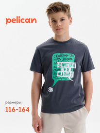 22.04 Pelican �������� ��� ��������� BFT3389/1 �����