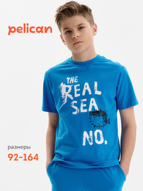 22.04 Pelican �������� ��� ��������� BFT3389/2 ��������