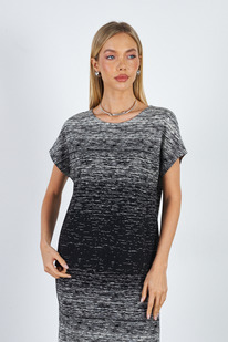 66245 �������