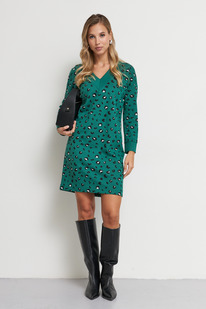 66255 ������