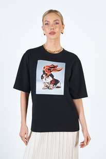 66303 �������