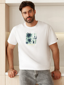 09.04 Vilatte ��������� ��������  � ��������� ������� U49.048 �����_just