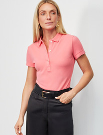 14.04 Vilatte ��������-����  �� ������������ ������ D49.087 ������