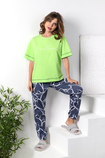 ����� ������ �����-1 �-850 ���������