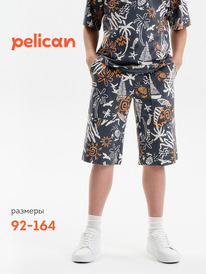 22.04 Pelican ����� ��� �������� BFH3389/1U �����