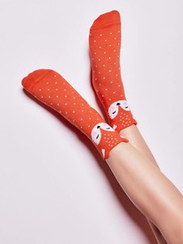 12.04  CONTE-KIDS ������� ����� ����� CONTE-KIDS TIP-TOP 17�-59�� ������������ 6