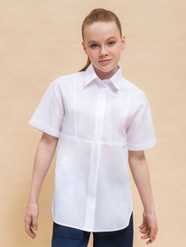 12.04  Pelican ������ ��� ������� GWCT7143 �����