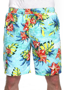 21.04 Clever ����� ������� CLE 563369pk ��.������/���������