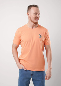 �����  Clever �������� ������� CLE 551978/21� ��.���������