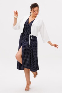 ����� ANELLI 1708.2 ������