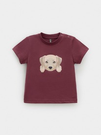 22.04 Crockid ������� (��������) �/��� �� �� 302907/���������� 1614 �630