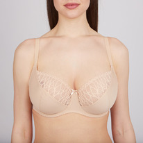 02.05  Aveline ����������� 660811 ���
