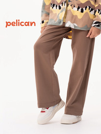 13.07 Pelican ����� ��� ������� GFPQ3319U ����������