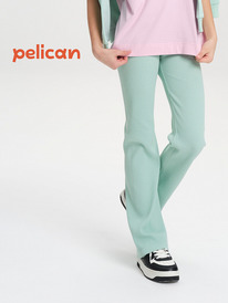 13.07 Pelican ����� ��� ������� GFL3352 ������