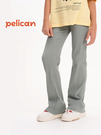13.07 Pelican ����� ��� ������� GFL3352 ������-�������