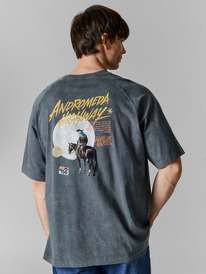 29.07 �������� ������� 111886 111886 ACID WASH �� ������ +������ 137064