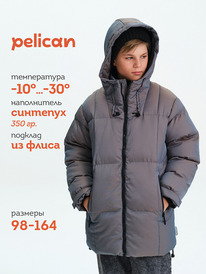 02.10 Pelican ������ ��� ���������