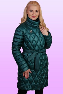 ������ ������� 433 ���� ����-�������