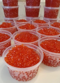 ���� ���� ������� 2025 ���