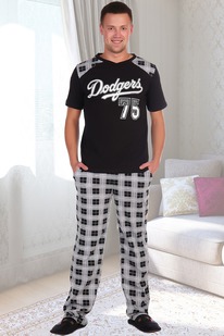 ������ ������