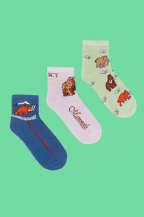 ����� ������ �������