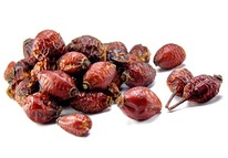 �������� ������� ��������� ����������������