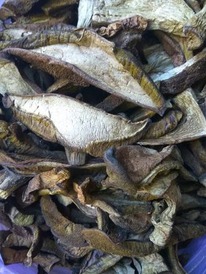 ������� �������