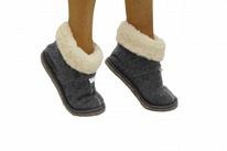 �������-�������  AlpenWOLF �����