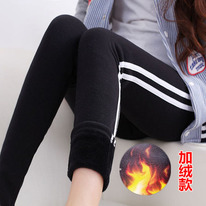 �������� ���������� 430���