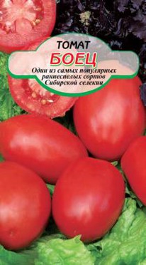 ���� �����