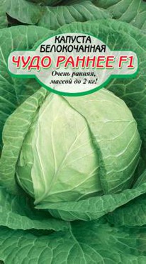 ���� ������ F1 �/� �������, ������.