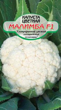 ������� F1 ������� ������� 10�� � (���)