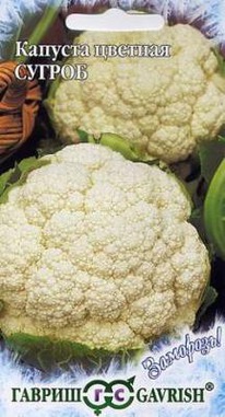 ������ ������� �������