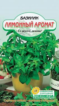 �������� ������ �������