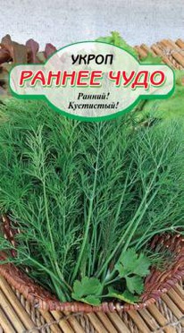 ������ ���� �����