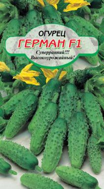 ������ F1 ������