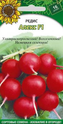 ����� F1 �����