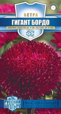 ������ ����� ���������-���������� �����