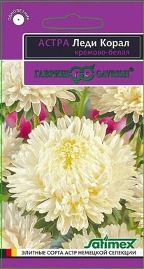 ���� ����� �������-����� �����  ����� ���������